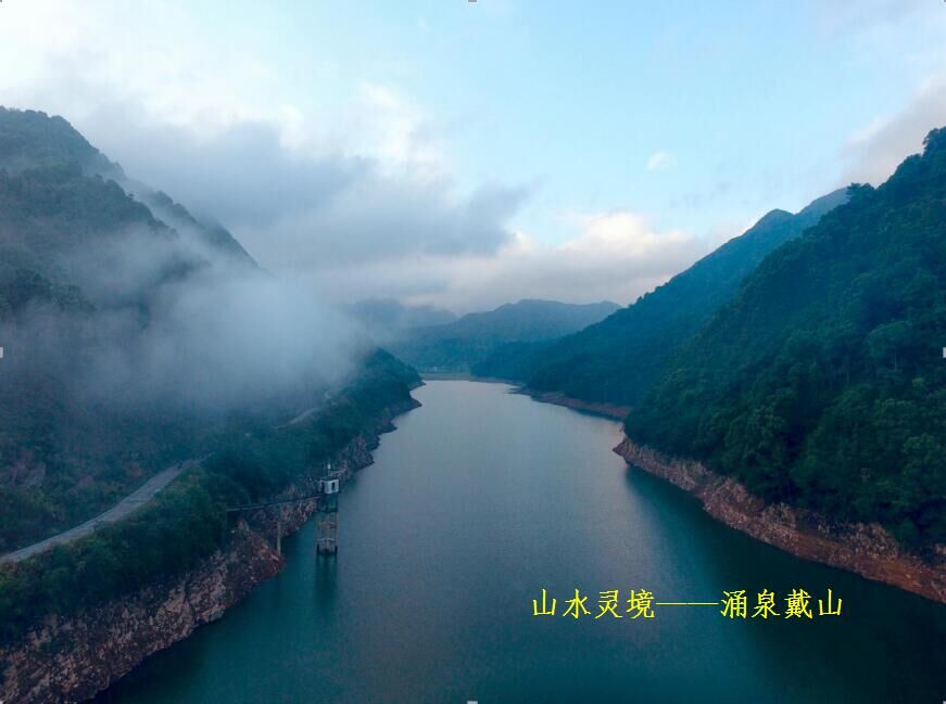 照片