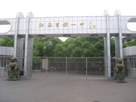 照片