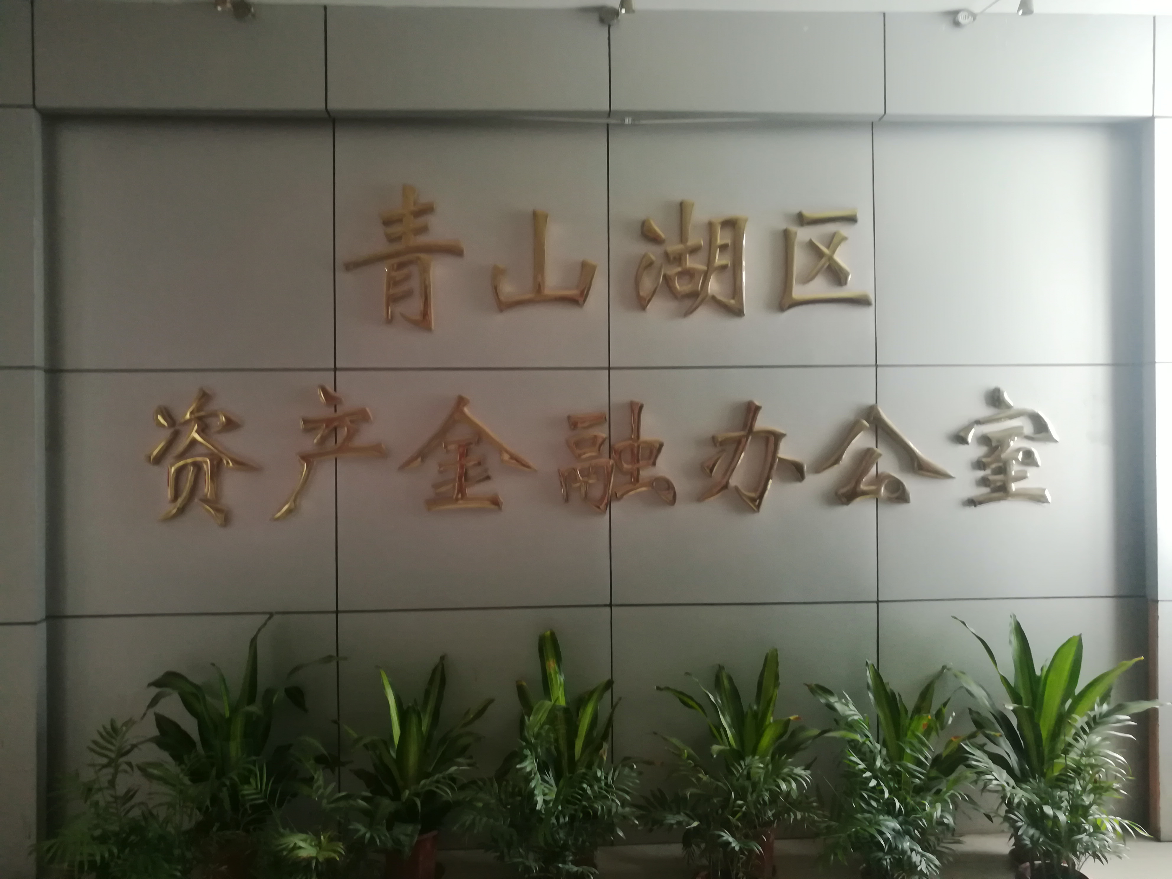照片