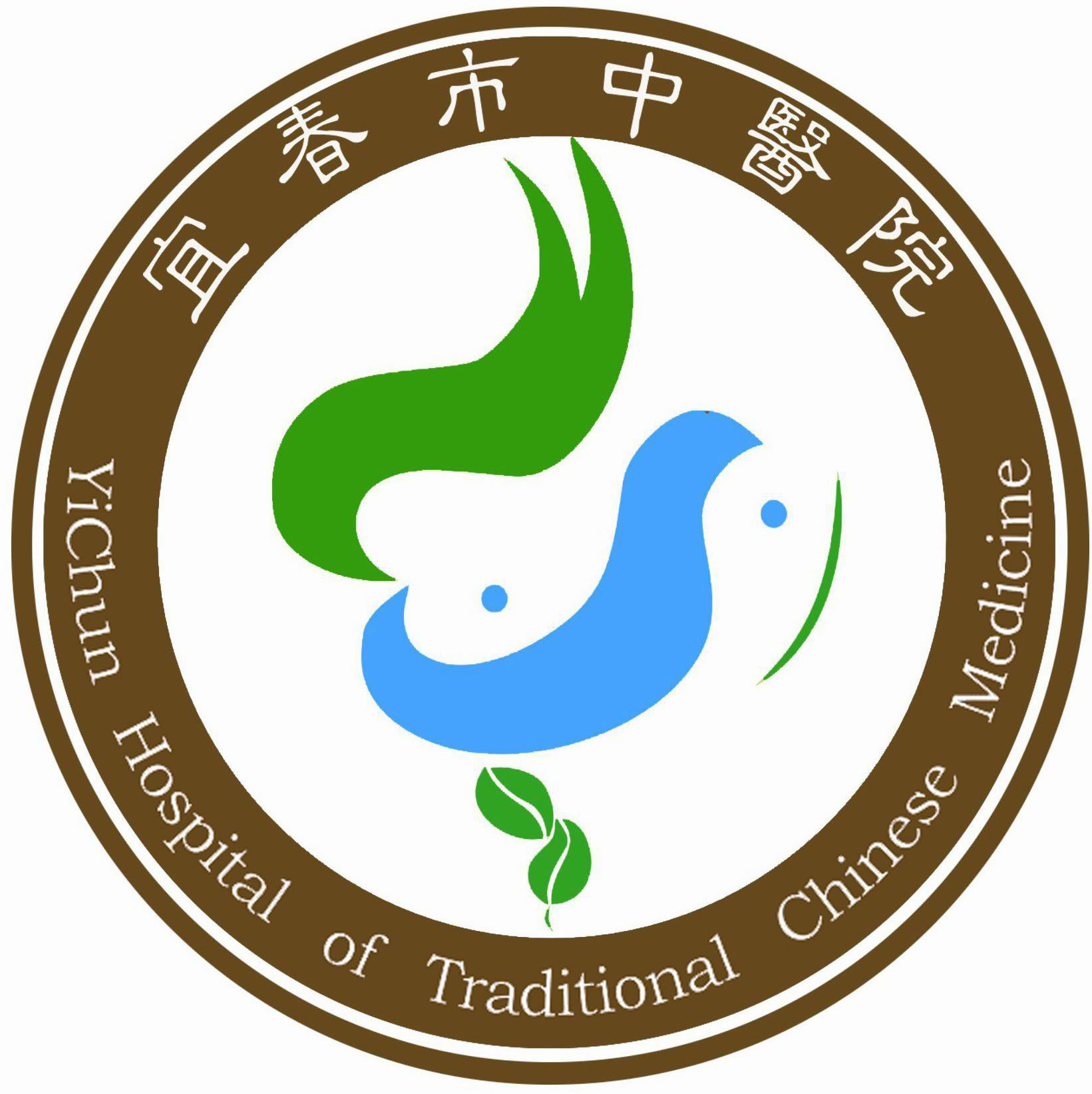 照片
