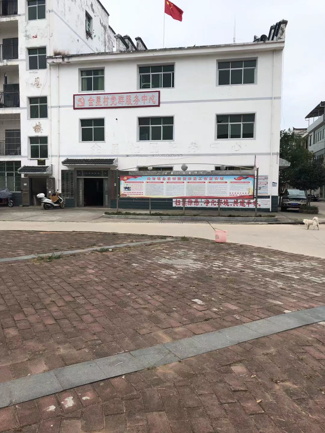 照片