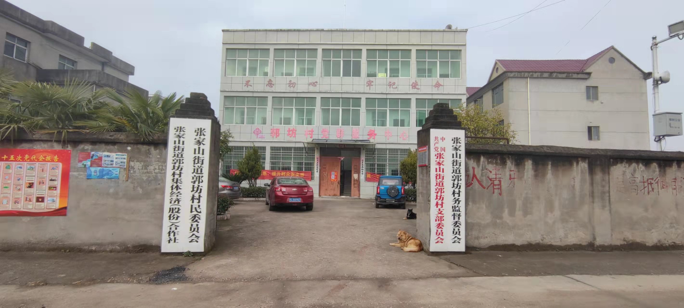 照片