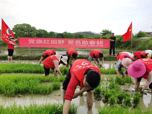 照片