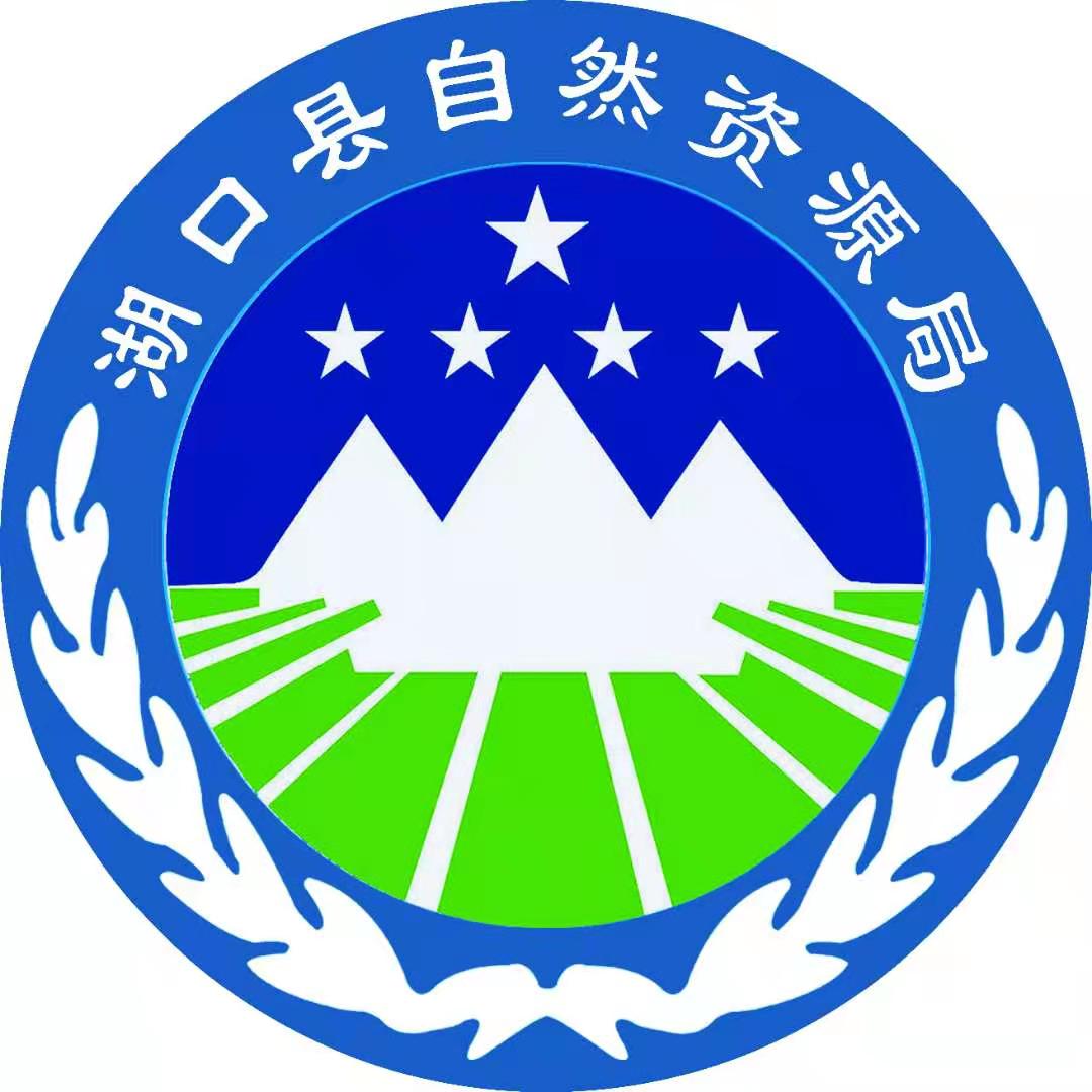 照片