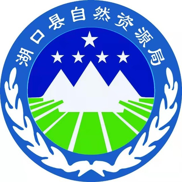 照片