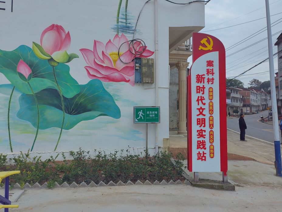 照片