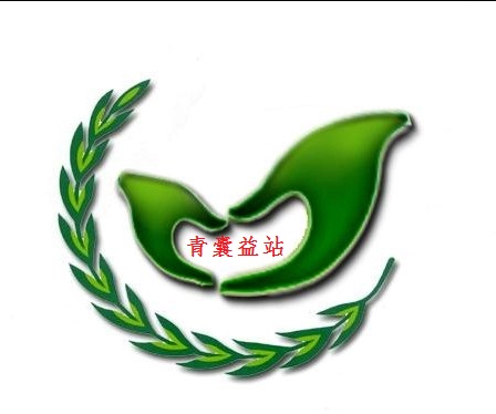 照片
