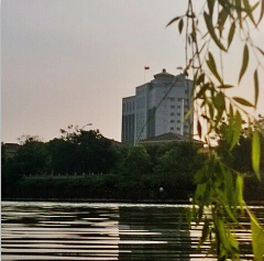 照片