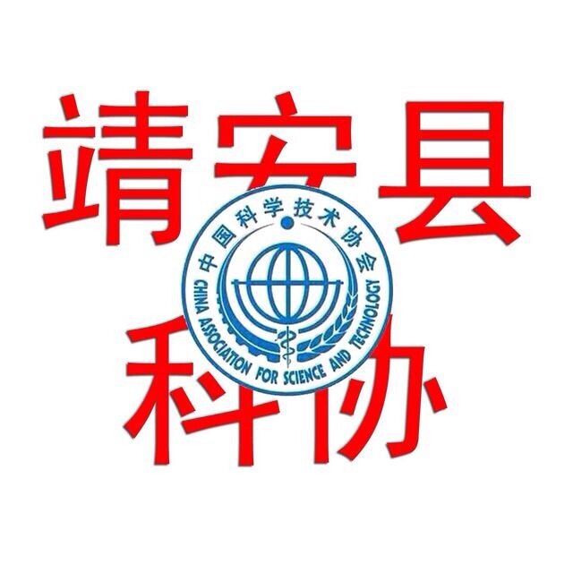 照片