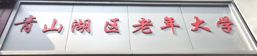 照片