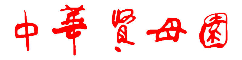 照片
