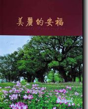 照片