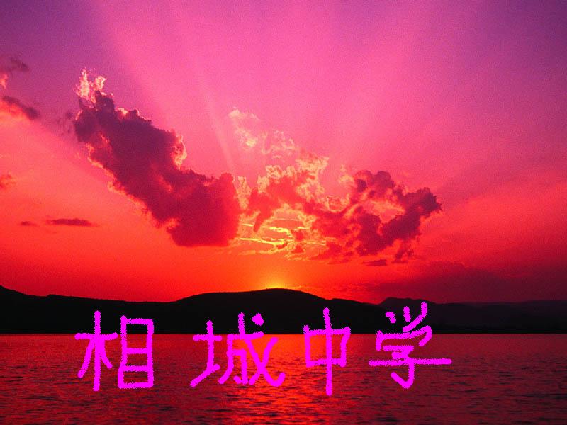 照片