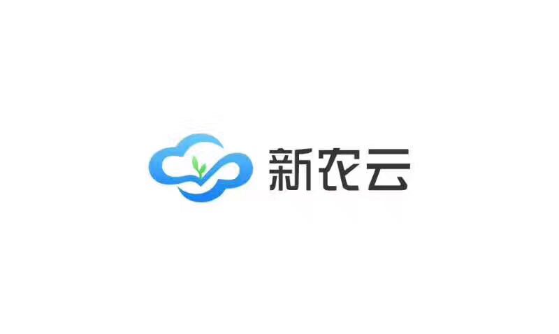 照片