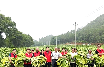 江西文明实践网