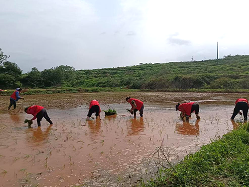 江西文明实践网
