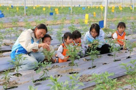 江西文明实践网