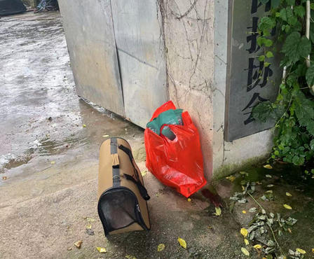 1765960691206891.jpg 128.jpg