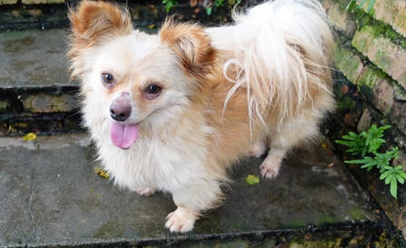 1765960757754344.jpg 130.jpg