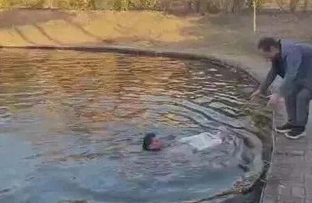 1767495399569330.jpg 11.jpg